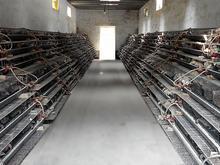 笼具厂供应图片,笼具厂产品图片,笼具厂批发图片-中科商务网-济宁恒久畜牧机械制造公司