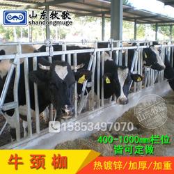 牧歌畜牧器材 牛颈夹 山东牧歌牛颈夹