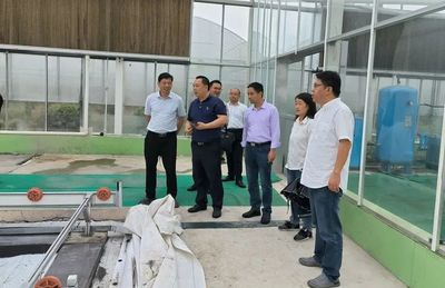 省农业“双强”专班来湖开展调研服务
