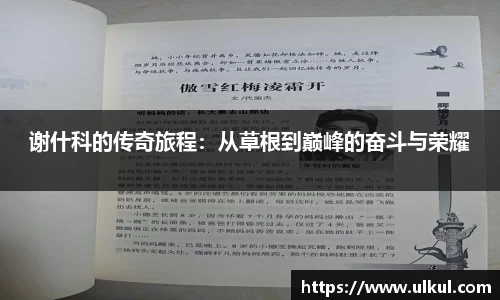 谢什科的传奇旅程：从草根到巅峰的奋斗与荣耀